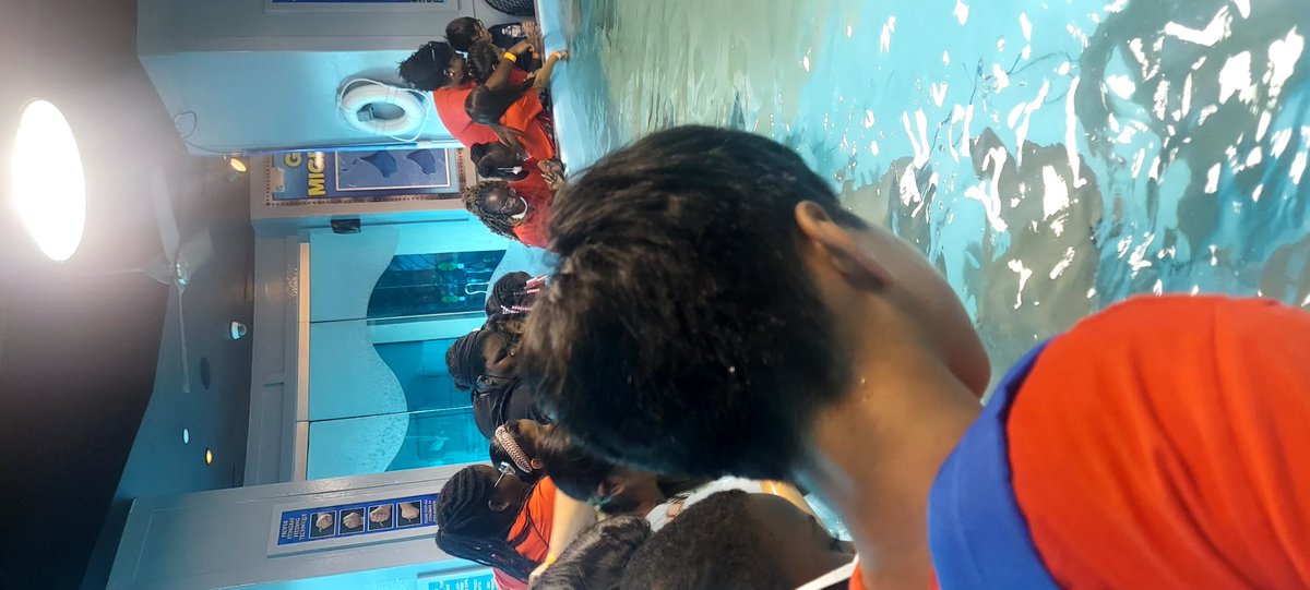 Landis CIA tweet media