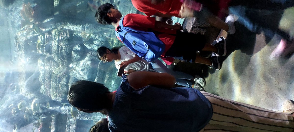 Landis CIA tweet media