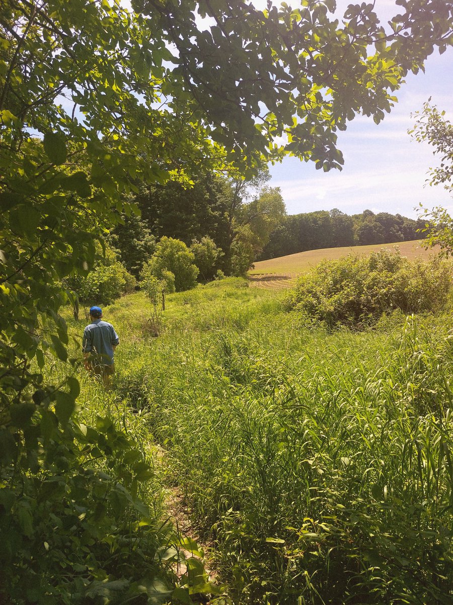 MFNowhere's tweet photo. Hey everyone. There are a couple new miles from nowhere tracks coming out on Thursday. You can pre-order them here. #newmusic #MFNowhere https://t.co/FyVXglLIii https://t.co/uBkOp4eUz1