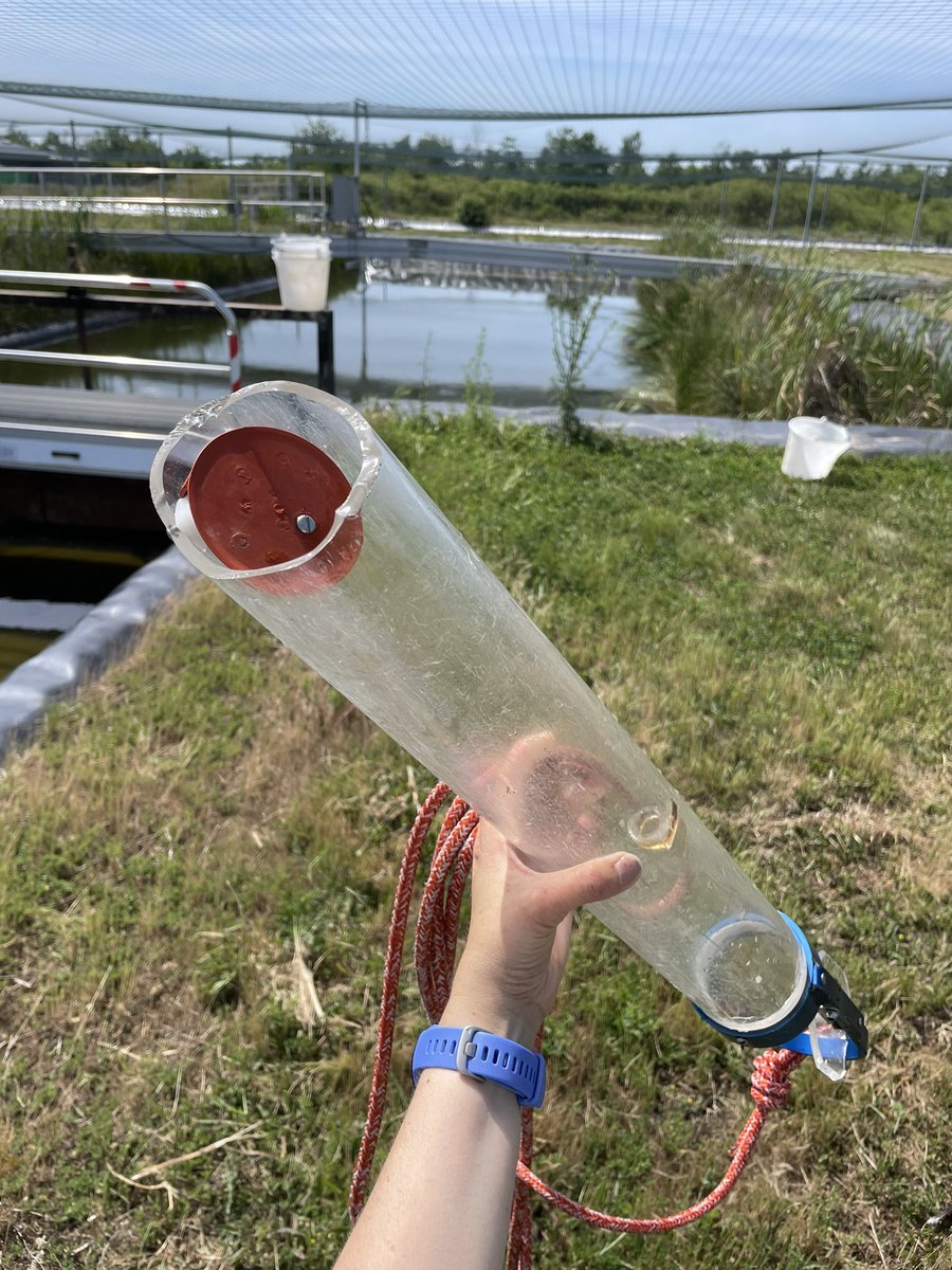 RosalieBruel's tweet image. *cries in limnologist*

#samplingday @CEREEP_Ecotron