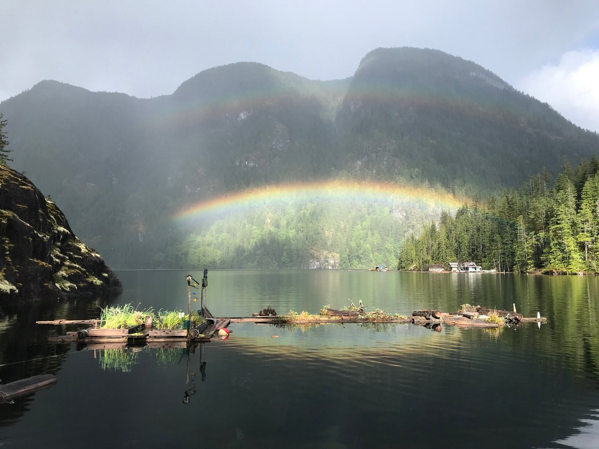 DuaneBurnett's tweet photo. Double rainbow Powell Lake qathet Sunshine Coast BC Canada 🇨🇦🌈🌈 https://t.co/e12mSW5pe4

#PHOTO Margy Lutz, Powell River Books 

#sunshinecoastbc #spring #rainbow #doublerainbow #britishcolumbia #canada #powelllake #powellriver #qathet #sunshinecoast #bcstorm #rain #storm https://t.co/eYj1K4J883