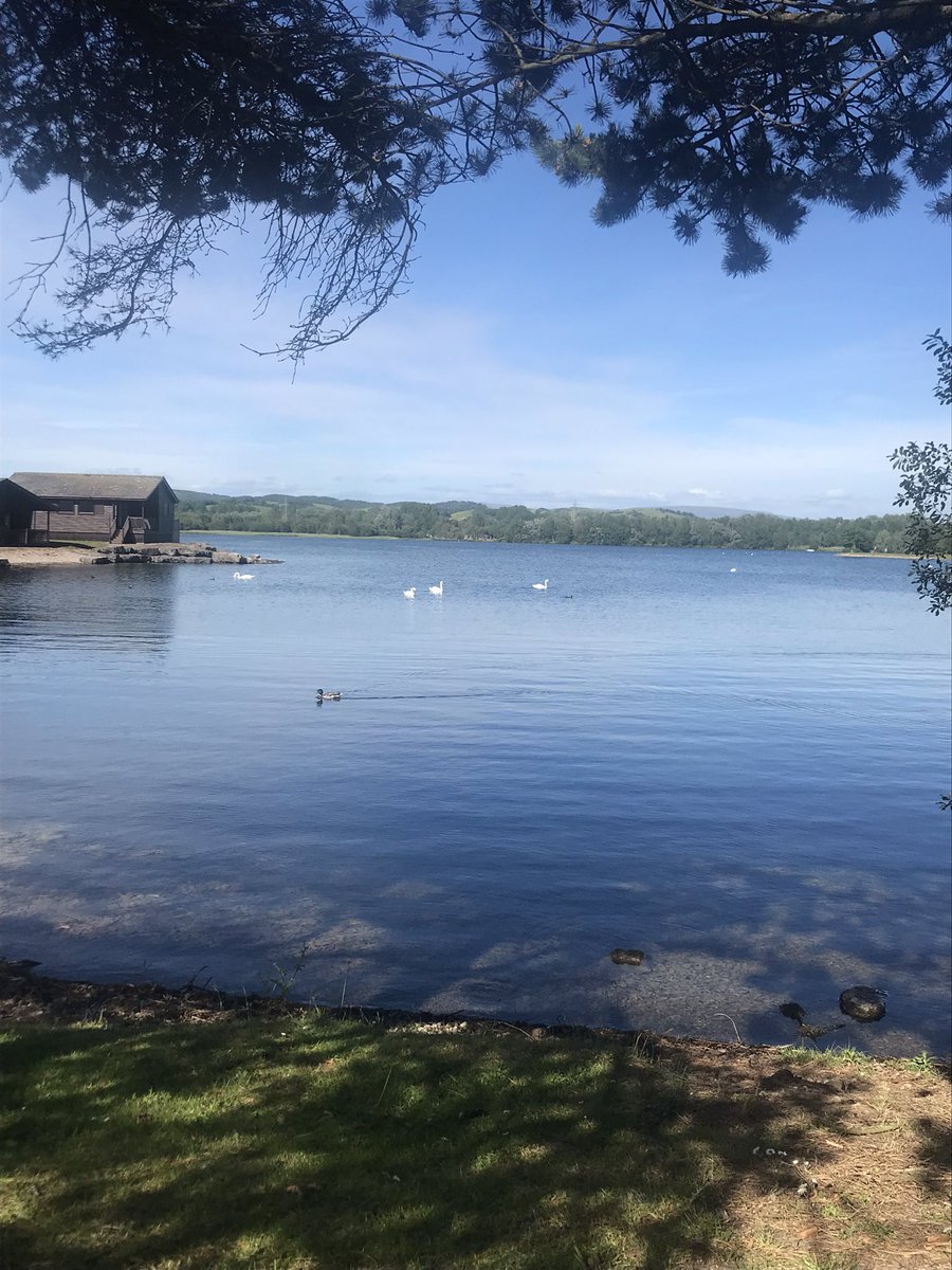 🦆Jeff Brimble tweet media