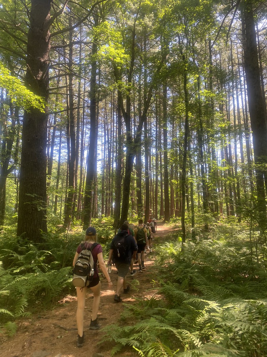 Kati Black tweet media