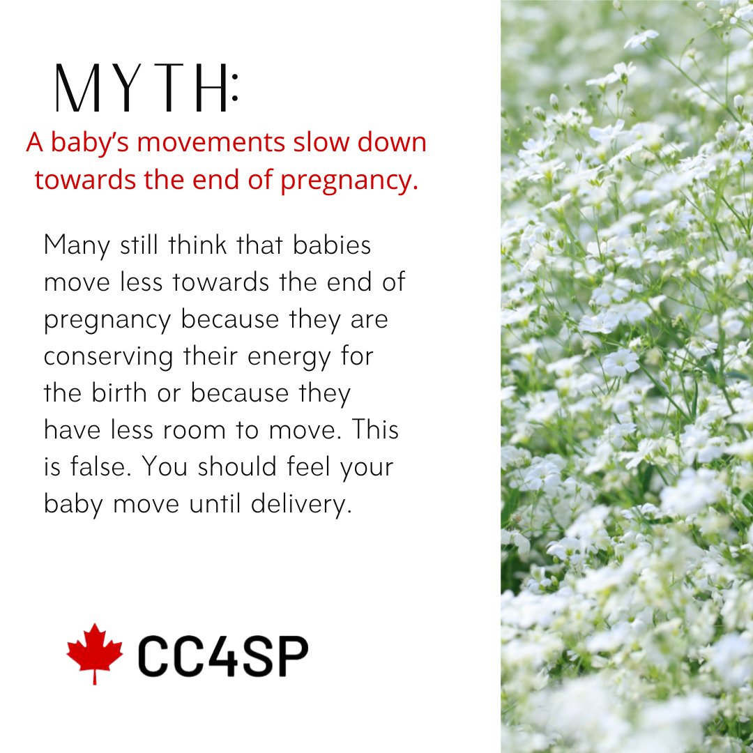 Canadian Collaborative for Stillbirth Prevention tweet media