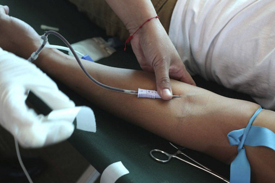 DiarioTalCual's tweet photo. La cultura de donación voluntaria de sangre es casi inexistente en Venezuela #TalCual #ClaroyRaspao #HayQueSumarse https://t.co/s4Wdf65Oct https://t.co/EoUVBRRlxG
