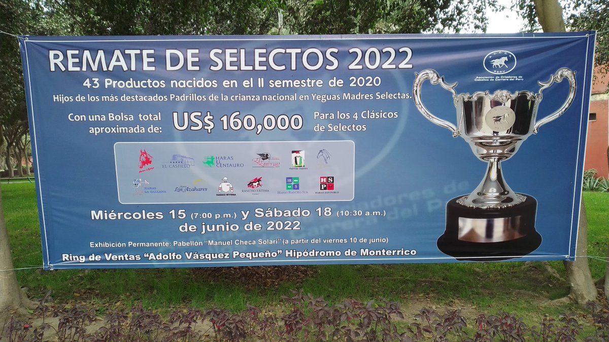 ApccPeru's tweet photo. Ya viene el Remate de Selectos 2022.
Miércoles 15 de Junio 7:00 pm.
Sábado 18 de junio 10:30 am.
Catálogo Online: https://t.co/LuCIeBEBe4
#hipica #caballos https://t.co/Q2evS9nrr4