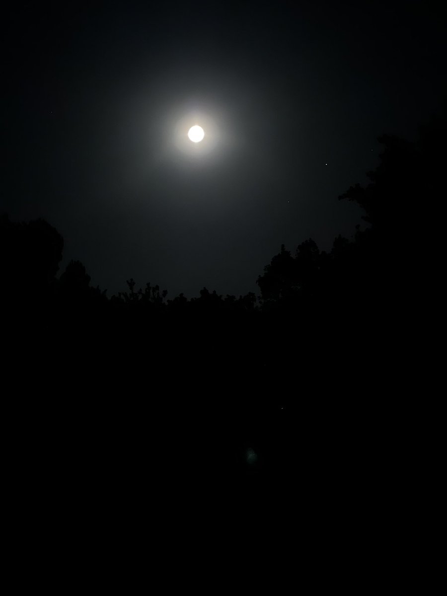 BeyondUniversFR's tweet photo. [ INDICE ROADMAP ] 

Part 2 : MOON 🌙

#Part1 #Part3soon #1969 #Nft #Metaverse #APOLLO #web3 #NFTProject #crypto #UFO #ready #Roadmap #Indice #Astro #bearmarket #Bitcoin https://t.co/EIJpwJyB4w