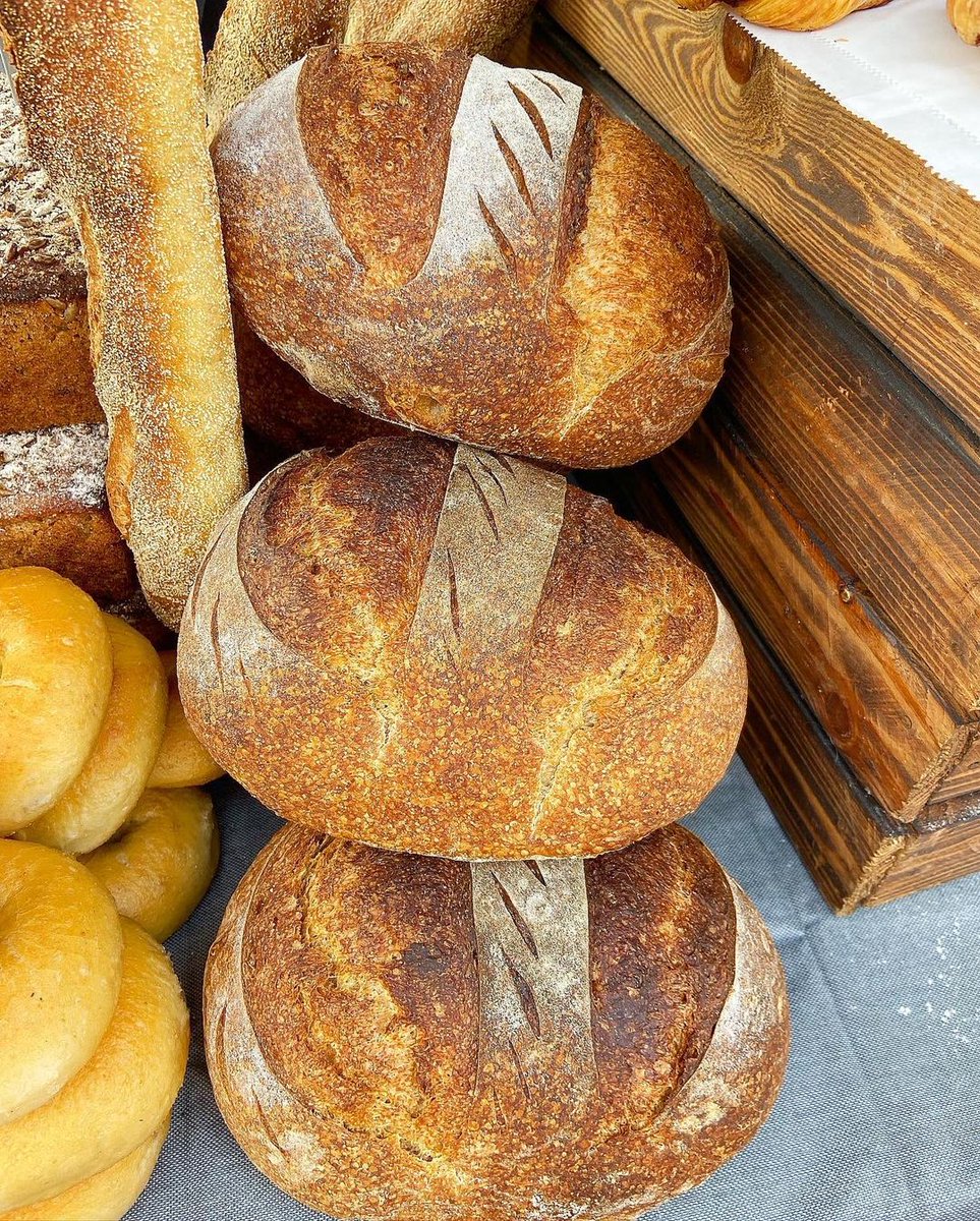 Portobello Schoolyard tweet media