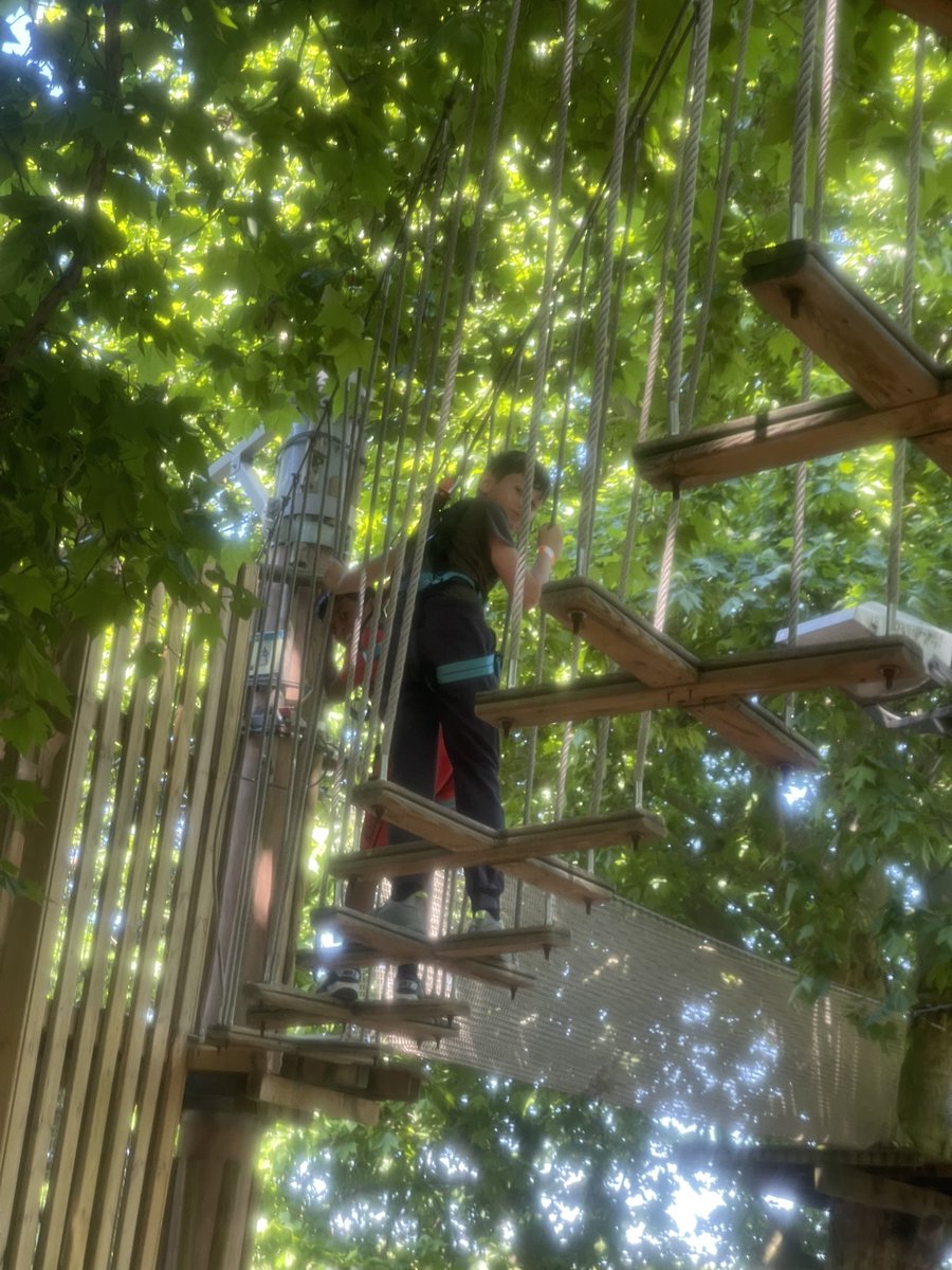 StMarys_SW8's tweet photo. More shots from @GoApeTribe at Battersea Park today. #actionshots #upinthetrees https://t.co/cxBoAhcm01