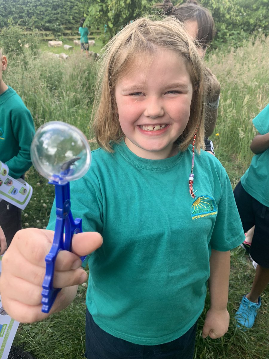 uptonrainbow's tweet photo. A morning of exploring insects 😀 https://t.co/PPHCBrCjSw