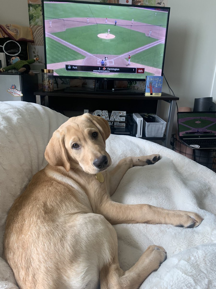 baileeehill's tweet photo. Let’s go Park Baseball! #foreverwolfpack @Parkbaseball @ParkWolfpack https://t.co/SuPZ7HccYy