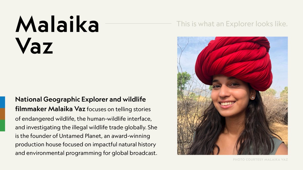 #NatGeoExplorer <a href="/malaika_vaz/">Malaika Vaz</a> uses the power of storytelling to shed light on environmental issues—from both in front of and behind the camera. Her immersive approach, which sometimes takes her undercover, reveals truths to inspire change. on.natgeo.org/6010zjz14