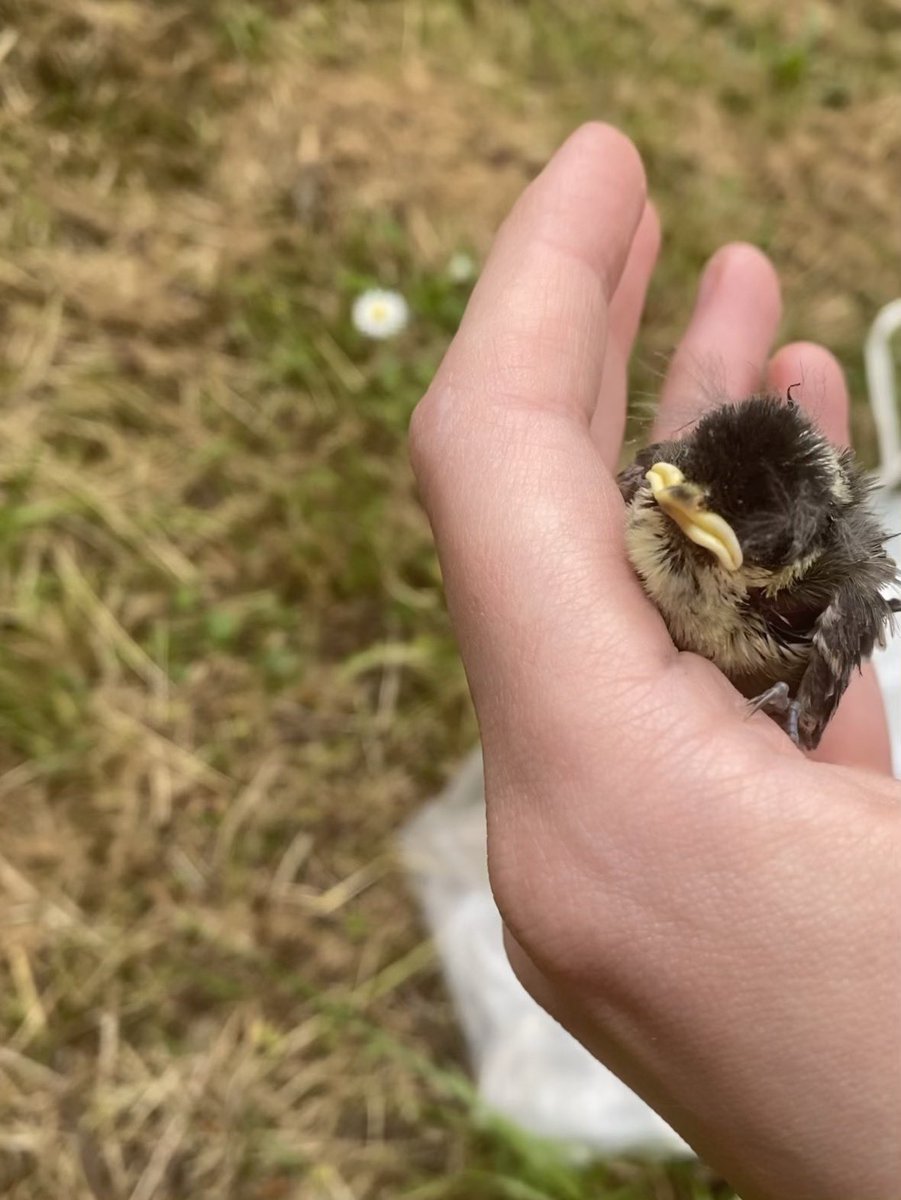 Imogen Mansfield (she/her) tweet media