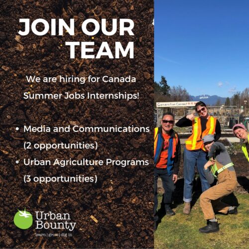 ubcGRS's tweet photo. *JOB POSTINGS*
Urban Bounty is #hiring for several Canada Summer Jobs positions to work with urban #agriculture projects across Richmond, BC. Apply ASAP.
#foodsecurity #community #urbanbounty https://t.co/tBpu8uRuD3 https://t.co/brOK7RLeSM