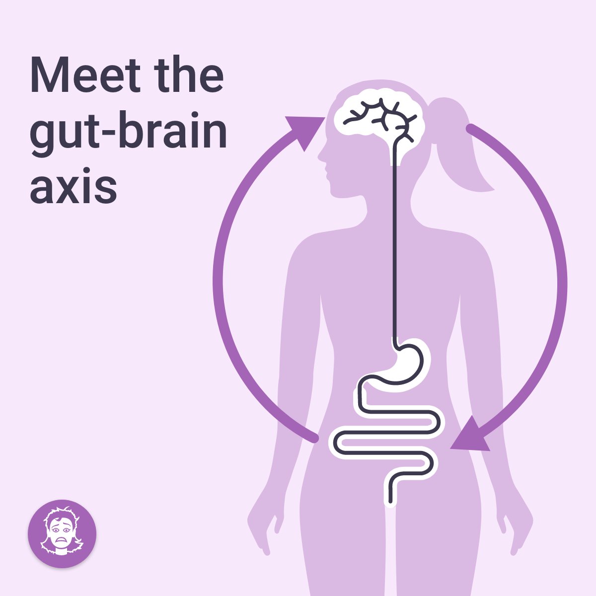 curelator's tweet photo. Uneasy stomach when you are feeling anxious? Meet the gut-brain axis. The vagus nerve is one of the biggest nerves connecting your #gut and #brain.

Investigation suggests that the gut-brain axis might play a role in a lot of diseases including #migraine. https://t.co/dXm7RRlROi
