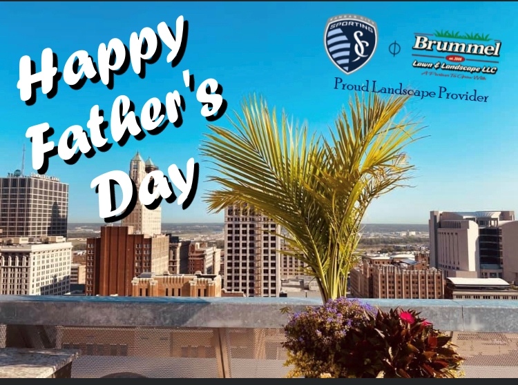 Brummel Lawn and Landscape LLC (@brummellawn) on Twitter photo 