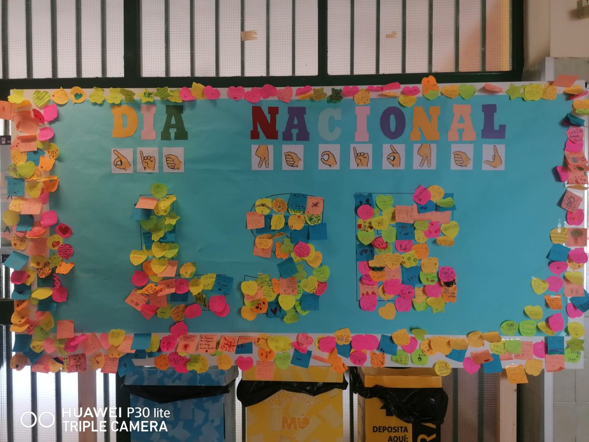 SFSordosMalaga's tweet photo. En el colegio @CeipLuisBunuel de #Malaga dónde hay docentes Sordos. Ya se trabaja en una educación bilingüe y el alumnado está concienciados con el uso de la #LSE .
#LSEsuma
#YoconlaLS https://t.co/Zx72H5BY8O