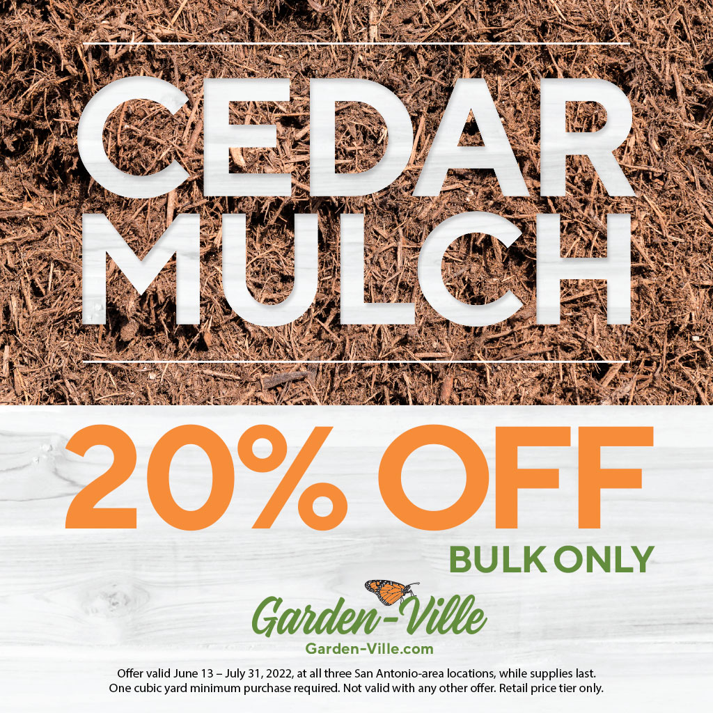20% Off Bulk #CedarMulch. Perfect for conserving soil moisture and contains natural insect-repelling properties. 

Valid 6/13-7/31 2022 at all 3 San Antonio-area locations, while supplies last. 1 cubic yd min purchase required. Not valid with other offers. Retail price tier only.