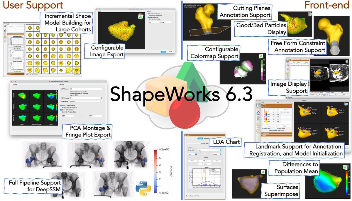 ShapeWorks tweet media