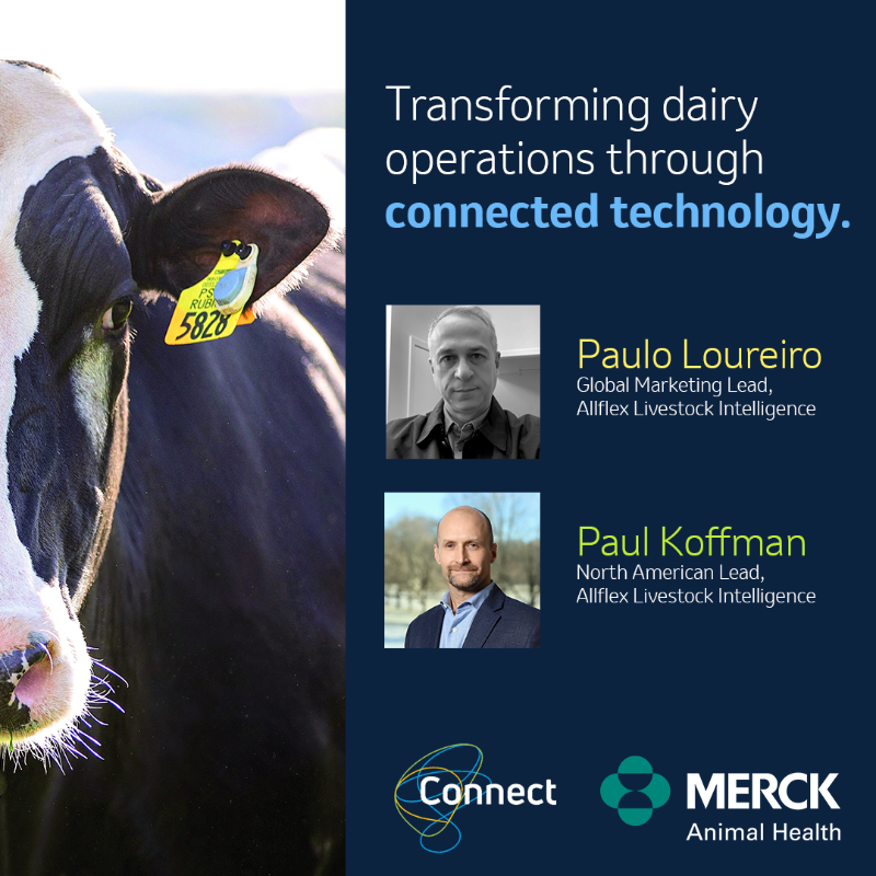 MerckAH's tweet photo. At the @ValleyAgUS @ConnectDairy Summit, our vision for the future of dairy farming comes to life. Join our experts as they share how Allflex Livestock Intelligence drives customer experience via big data &amp; deep tech.
