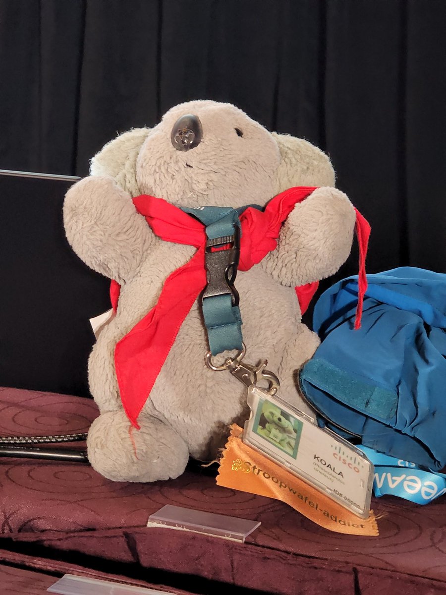 doncoque's tweet photo. I paid a visit to @vlinder_nl in one of her sessions yesterday and got to meet Mr. @Koala_nl #stroopwafel-addict https://t.co/CEwUWCzz3W