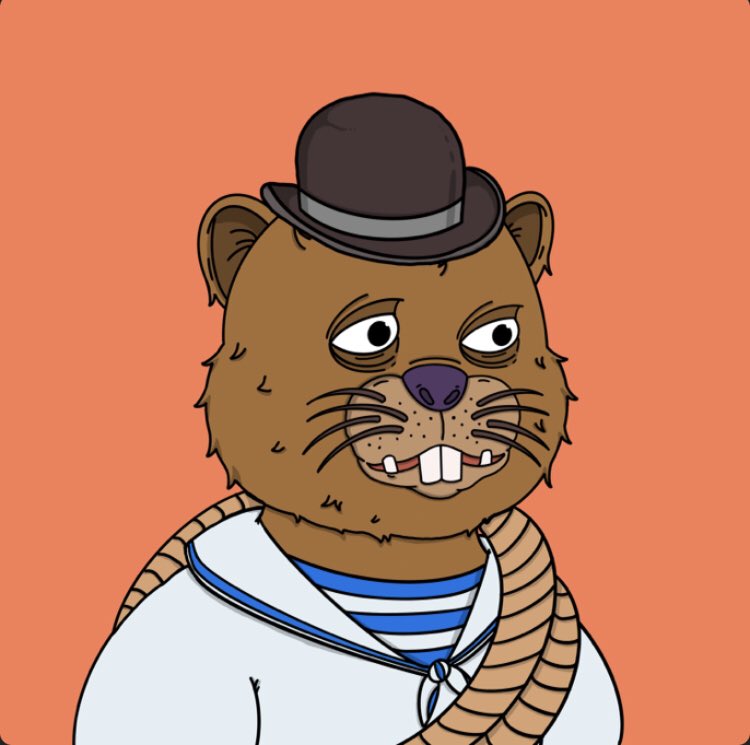 TheGigaDragon's tweet photo. @MilfMaximalist Yarrr Harrr har HaRrr Poor Little Fella NEVER Saw It Coming haHaRrr
Dam #BILFS @BMBeavers https://t.co/nTCte5HJ2o
