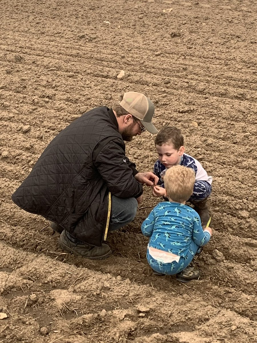 GeneEnderson's tweet photo. Had some help checking canola emergence last night. #scout22 https://t.co/AzysiCoHM5