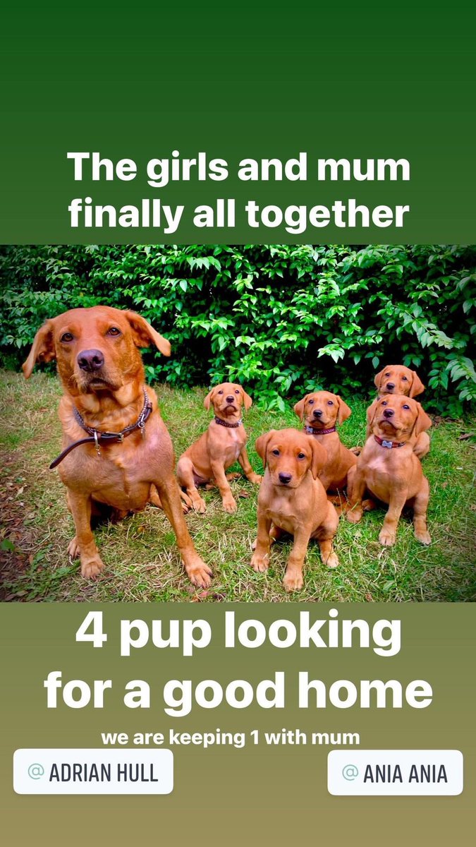 AdrianHull's tweet photo. https://t.co/euY5XcjHf6