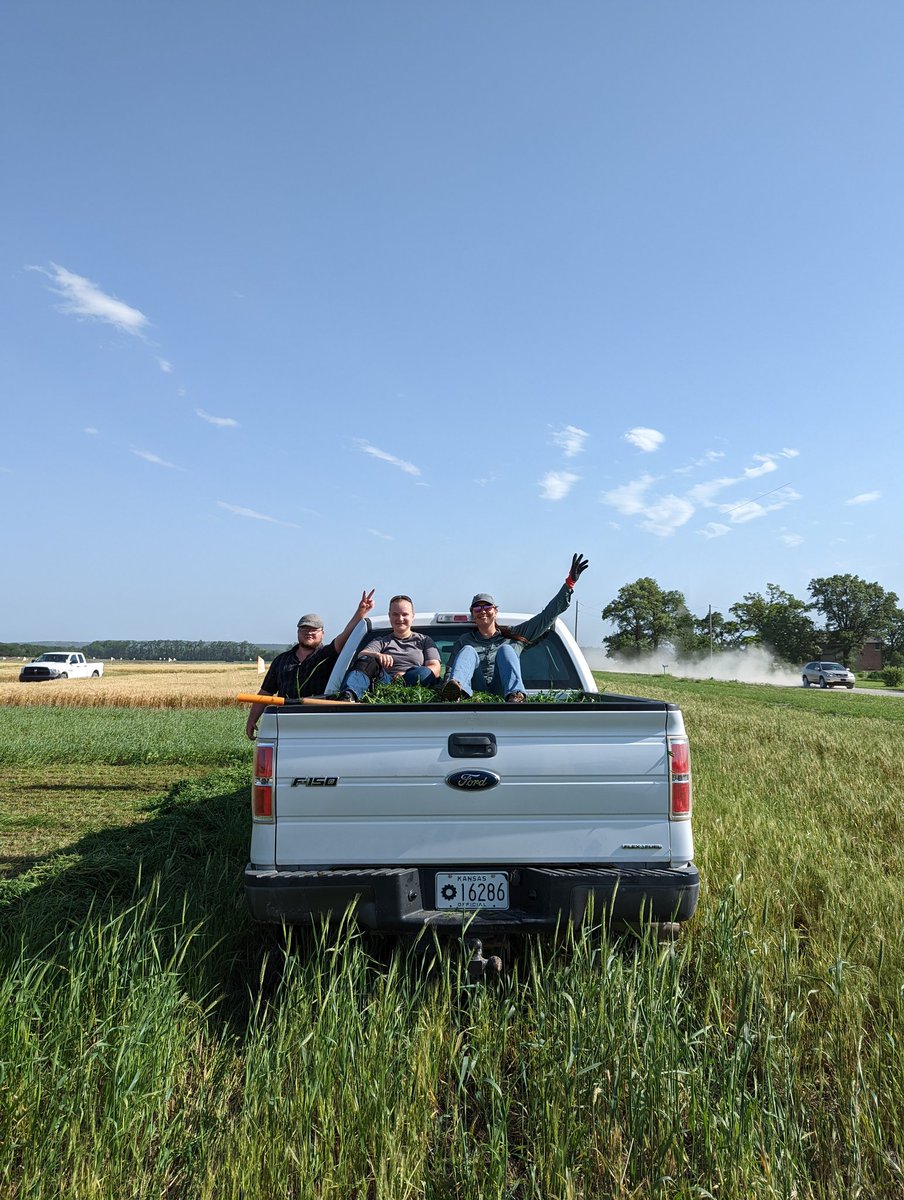 Mowing alfalfa plots in Ashland Bottoms with the <a href="/RainfedAg/">Rainfed Agriculture Innovation Network (RAIN)</a> team!