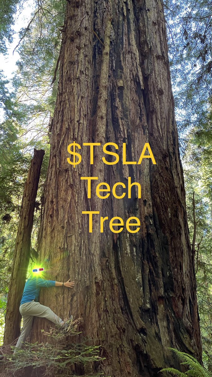 c4chaos's tweet image. that’s why i’m ALL IN on $TSLA 🦾🤠🌲 #TechTree