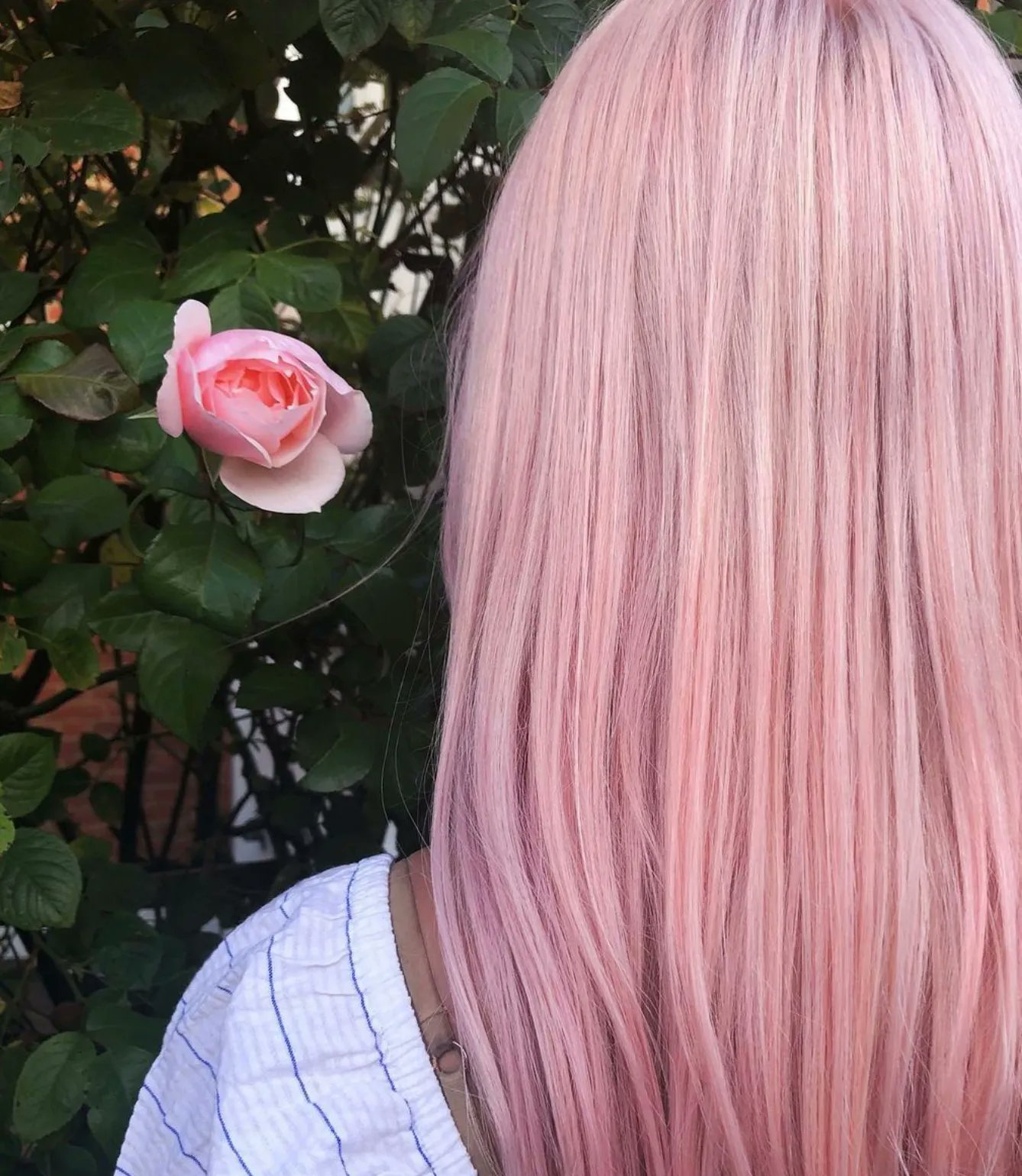 Hunt Or Dye on Twitter: "Using @bleachlondon Rosé Toner 🌸 The rose helps reduce yellow tones in your and adds a / Rose tint finish Hair by @poppyhugheshair Shop