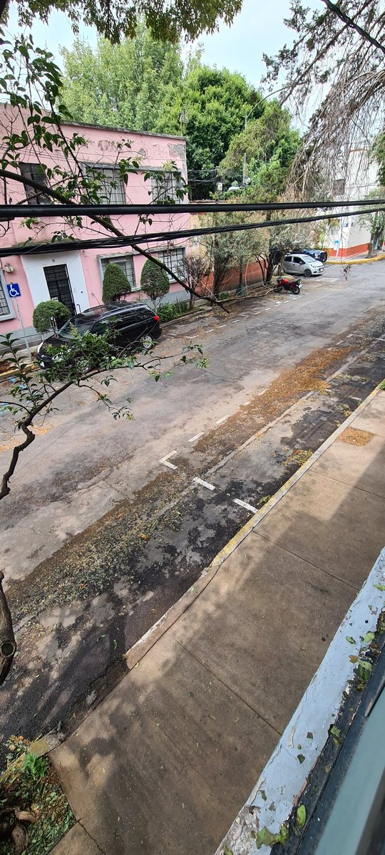 ananvm's tweet photo. @BJAlcaldia @BJAlcaldia favor de enviar al equipo SUAT a la calle Andrés de la Concha @sanjoseinsurgen entre Félix Parra y Saturnino Herrán, la hojarasca se está acumulando https://t.co/HRNV29xmss
