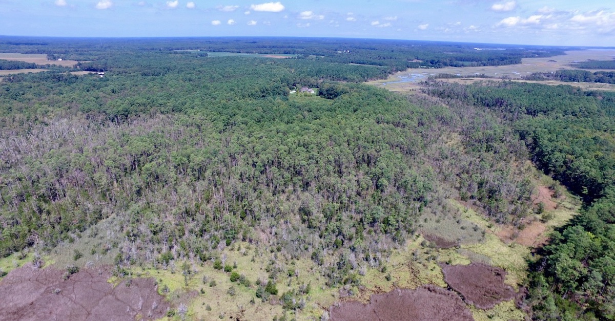 Virginia Institute of Marine Science tweet media