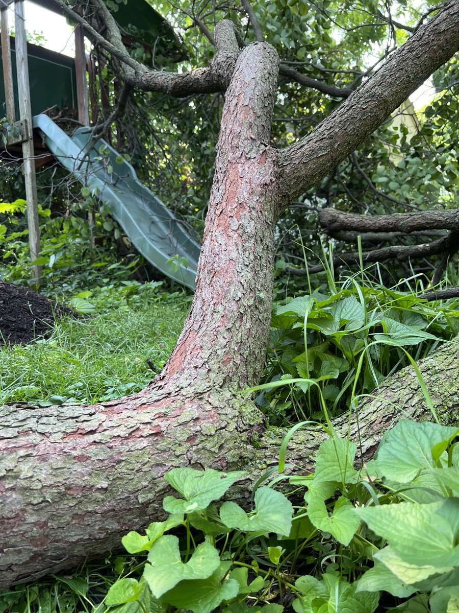 PhilipWillink's tweet photo. Still no power or home internet after SuperCell Storm ripped through Chicago Region. With temps now approaching 100 degrees, it is shaping up to be a miserable next couple days! #SuperCellStorm #SuperCell #WindDamage #ChicagoWeather @LarryABC7 @CherylScottWX https://t.co/4TR9oSpYwn