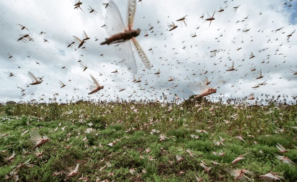 ainnantis's tweet photo. EMERGENZA CAVALLETTE
A INNANTIS ESPRIME SOLIDARIETÀ E SOSTEGNO A TERRITORI E OPERATORI ECONOMICI. E INVITA A FIRMARE LA PETIZIONE PER SMUOVERE UNA POLITICA ASSENTE.

A innantis! esprime solidarietà e vicinanza a tutti i territori e operatori economici colpiti ... https://t.co/HNT1ToQK6B