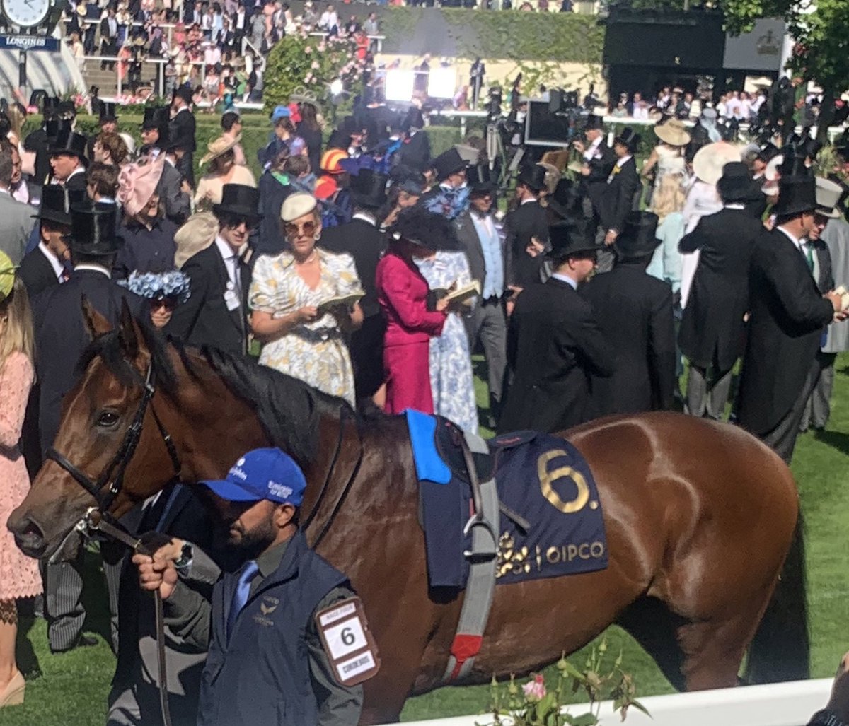 LNevilleRolfe's tweet photo. Wonderful day at #RoyalAscot Particularly enjoyed St. James’s Palace Stakes and winning on #Coreobus who won the 2000 Guineas. He is by #Dubawi my favourite sire and has a real look of his father. Dubai Future easily won the Wolferton - by Dubawi too.👍 @godolphin @itvracing https://t.co/u9tquw8DJt