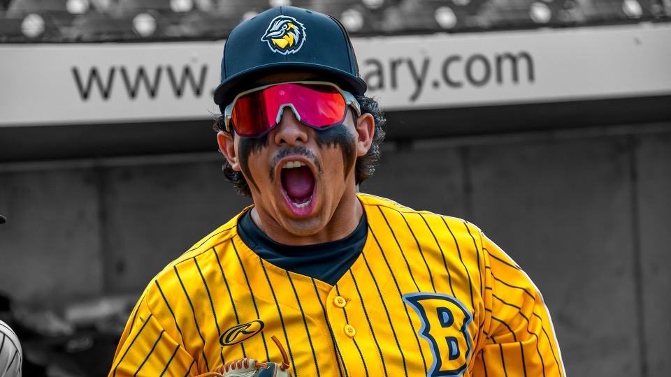 bismarcklarks's tweet photo. yellow makes us smile 💛 https://t.co/cFmQRbaMpm