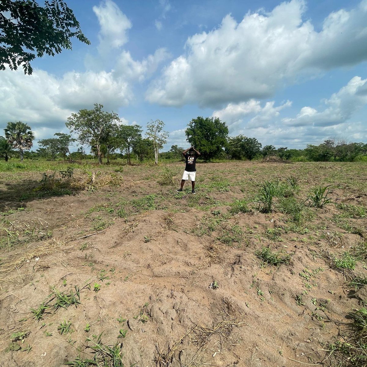 wode_maya's tweet photo. Omg!Can you believe it???A grateful family just gifted me 5 acres of land just to appreciate the work that I do!
I am truly blessed &amp; grateful🙏🏿 https://t.co/OrEDdFc2AZ
