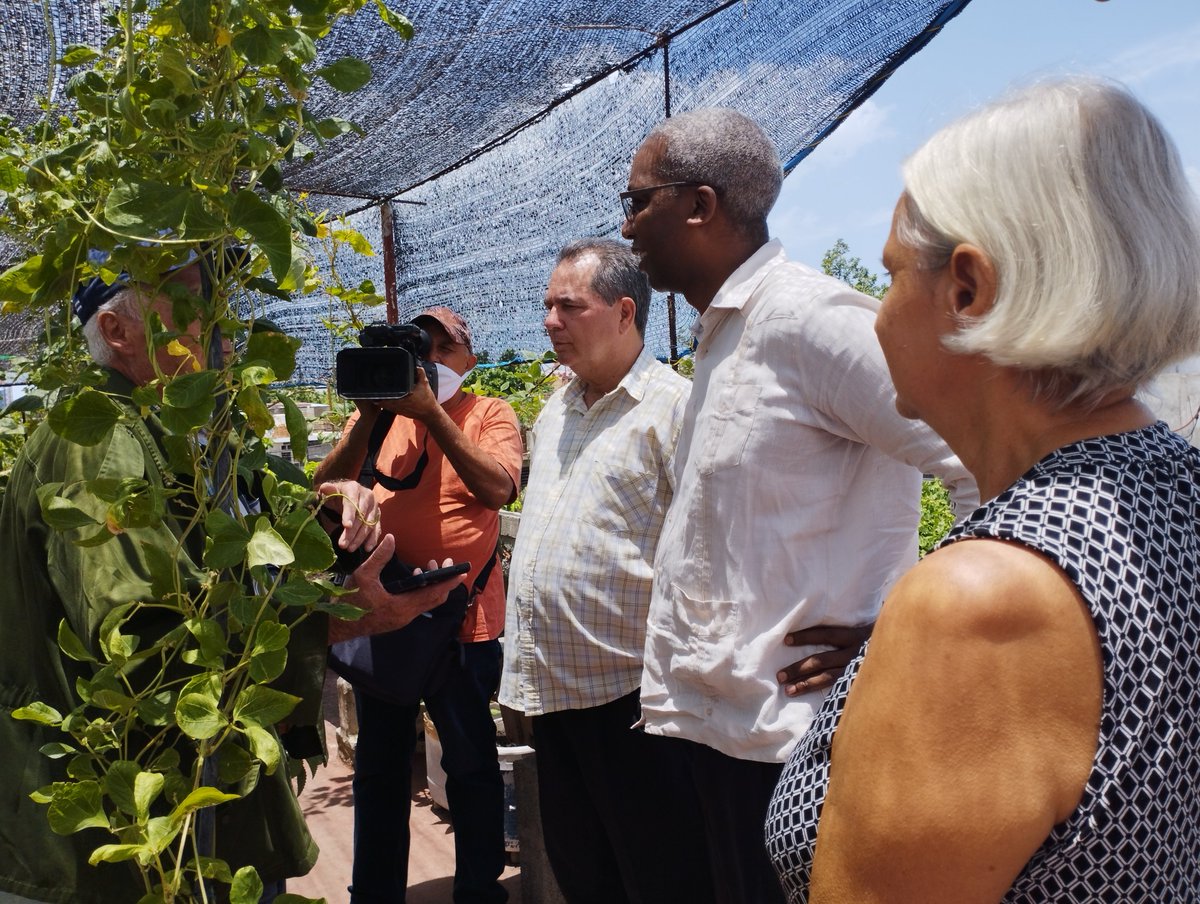 Mary Salmerón Fernández tweet media