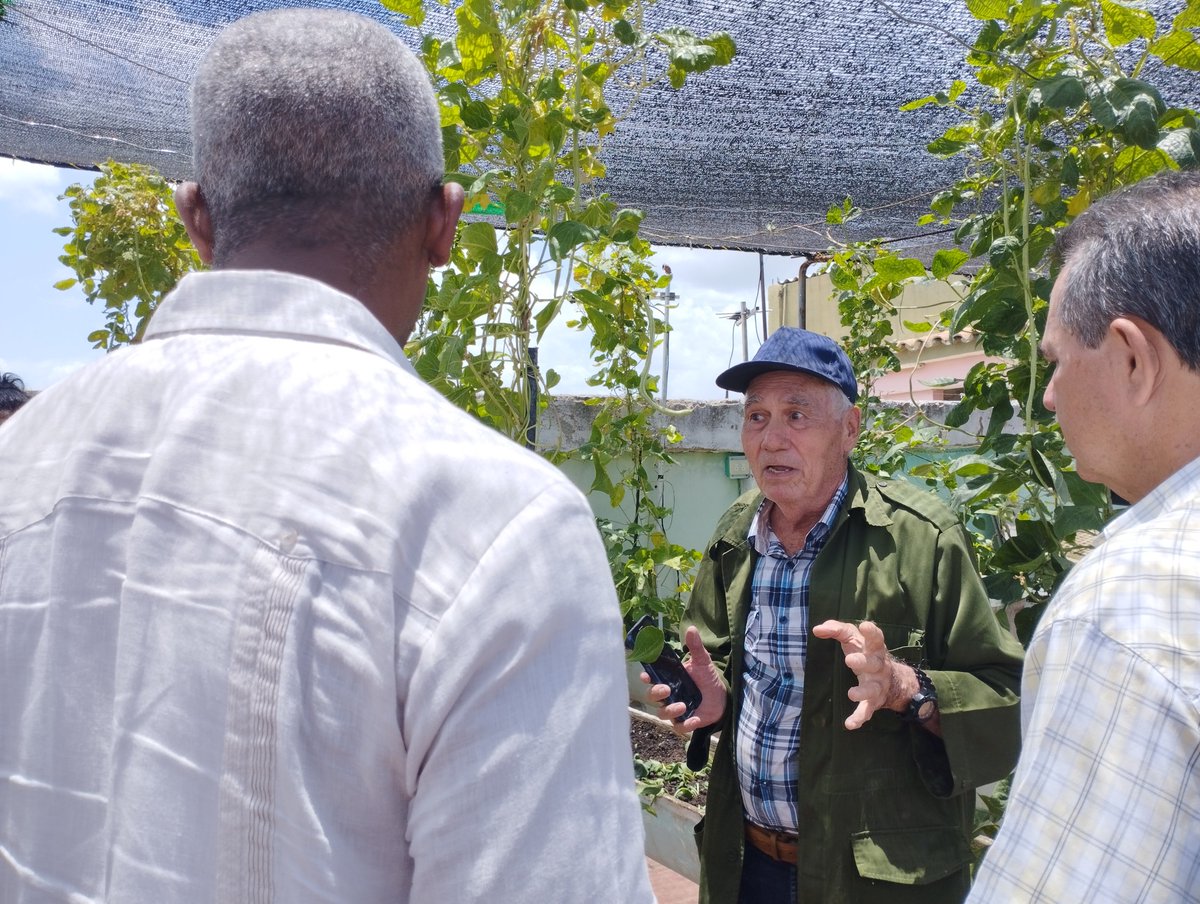 Mary Salmerón Fernández tweet media