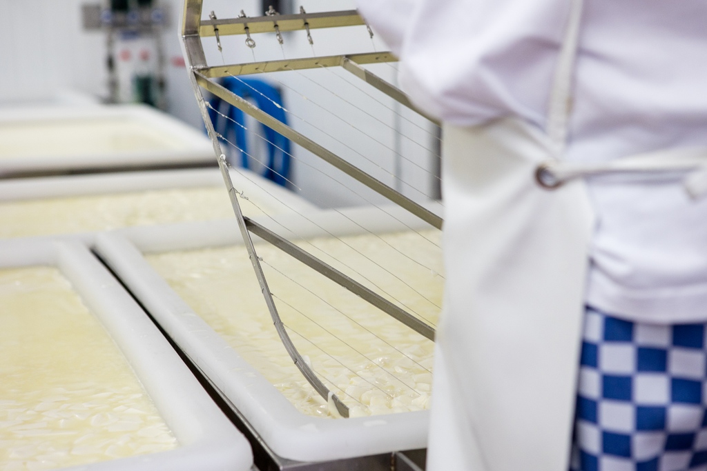 The satisfying sensation of cutting the curd into cubes to separate it from the whey.