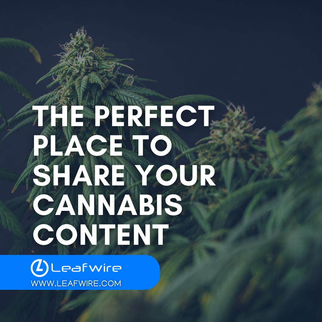 Leafwire's tweet photo. Create great content and share it on a network dedicated solely to the cannabis industry at https://t.co/12YmhpJVjW.

#digitalmarketing #marketing #socialmediamarketing #socialmedia #business #marketingdigital #branding #advertising #onlinemarketing #entrepreneur https://t.co/IUSoBftkDp
