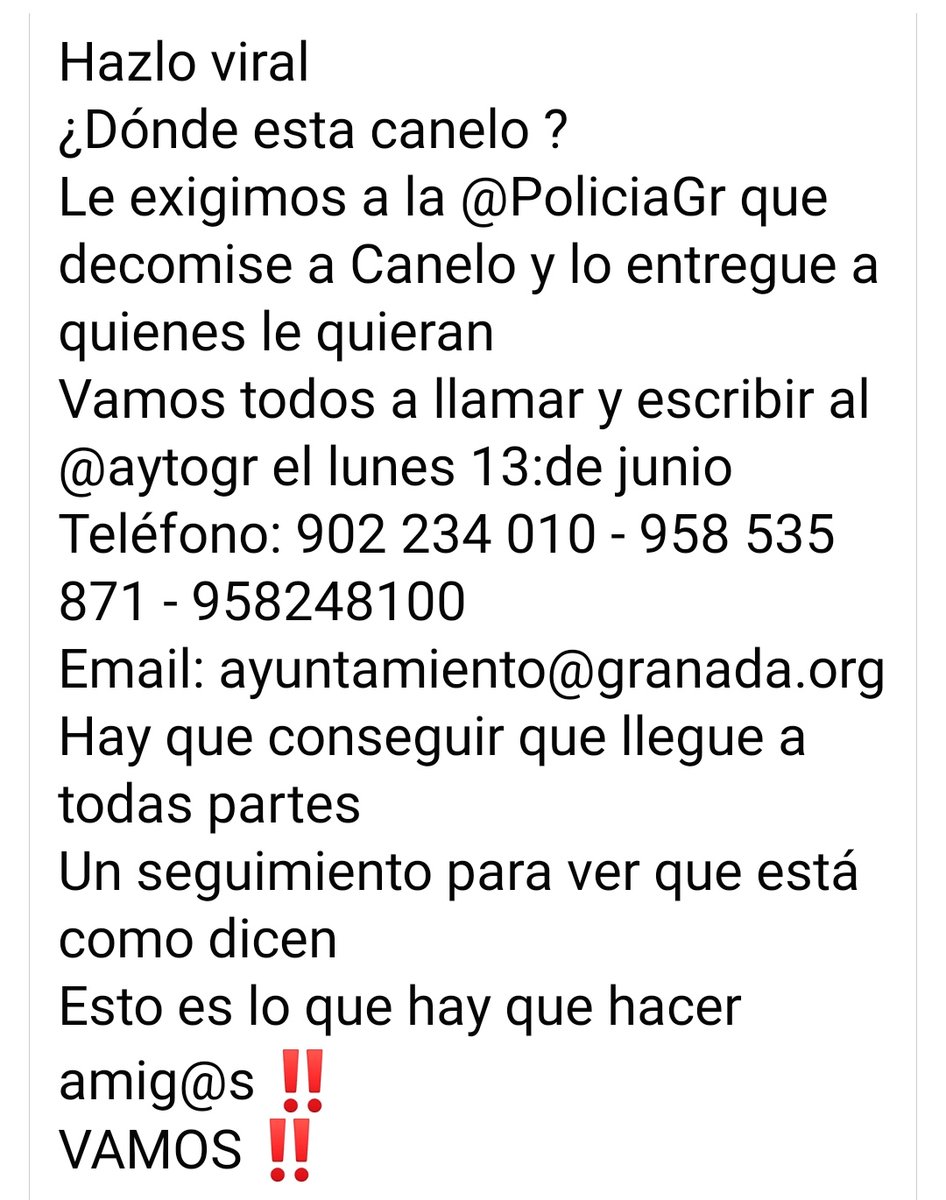 silvia mensegar tweet media