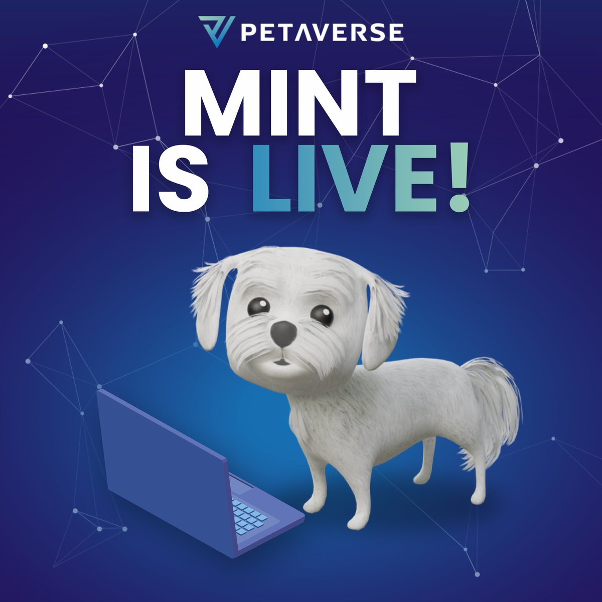 Petaverse_nft's tweet photo. The MetaPaw pre-sale mint is Live! 🐾 🥳 
👉 https://t.co/ZN7ZxDzq2L

#NFTdrop #petaverse #Mint https://t.co/r4vF72S9gB