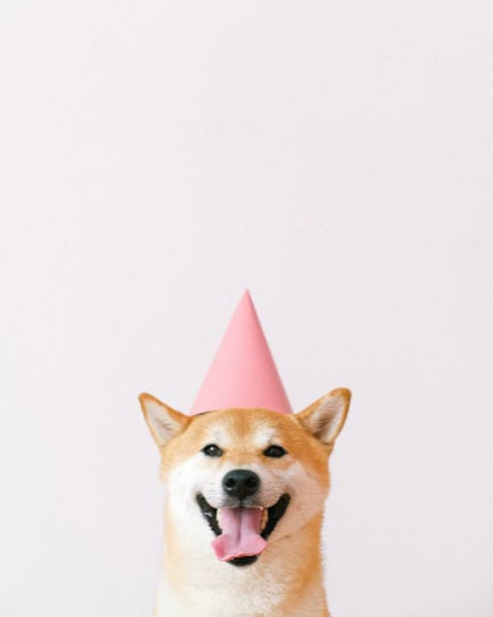 MDGArch's tweet photo. Happy birthday to Partner, Jesse! We hope you have a great day celebrating with friends and family! 🎊🎊

#MDGarch #MDGinteriors #MDGBirthday #Birthday #HBD #Happybirthday #Happy #Celebrate #Partyhardy https://t.co/4XLT8muJro