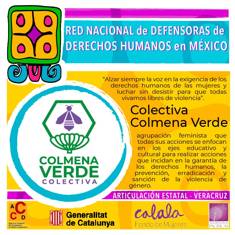 RedDefensorasMx's tweet photo. Reconocemos a la @ccolmenaverde por su importante trabajo a favor de los DDHH y por la prevención, erradicación y sanción de la violencia de género. 
#RedVeracruz #DefensorasVeracruz https://t.co/08jN38DqNW