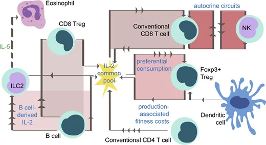 Image from Journal of Experimental Medicine (@JExpMed)