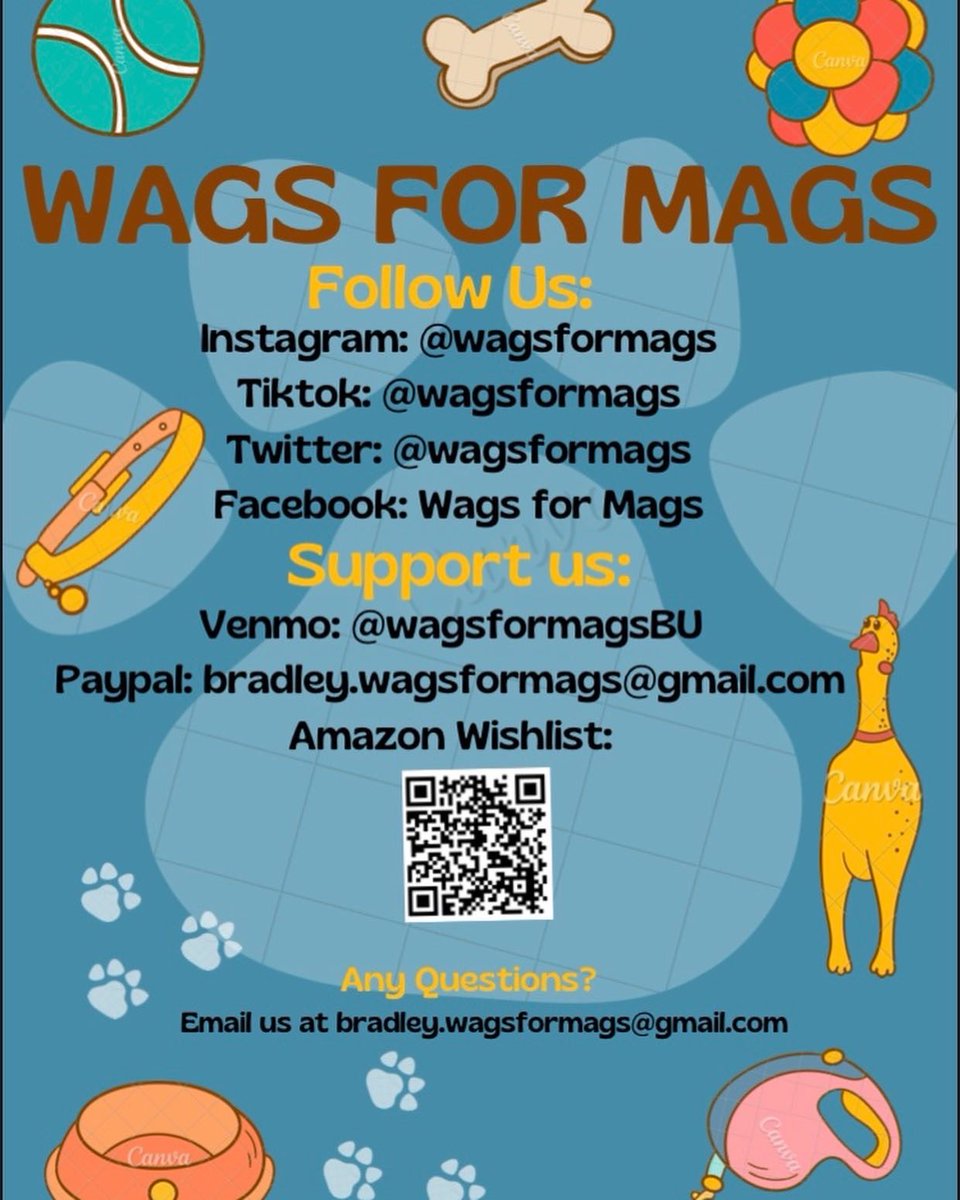 wagsformags's tweet photo. A growing pups appetite never ends!Bard is asking for your donations to Wags for Mags in order to keep the pups happy and healthy throughout the summer!☀️
Anything helps! We hope you will consider making a donation right off of our amazon wish list! It can be found in our bio!🤩 https://t.co/r81U8kviNJ