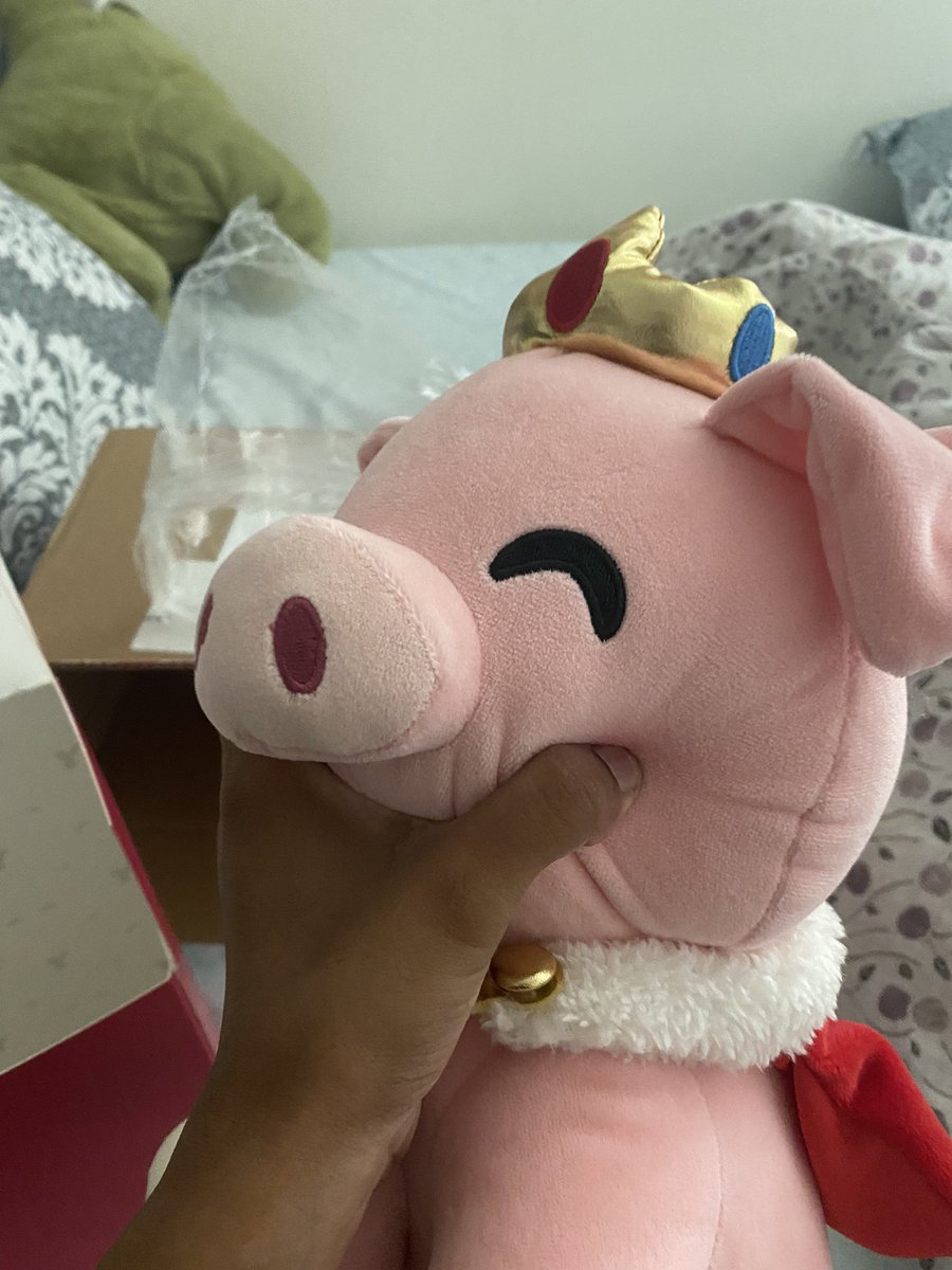 vvbutnot's tweet photo. never buying from youtooz again but very happy that i finally got this guy 🐷 https://t.co/uFanpx8Oi1
