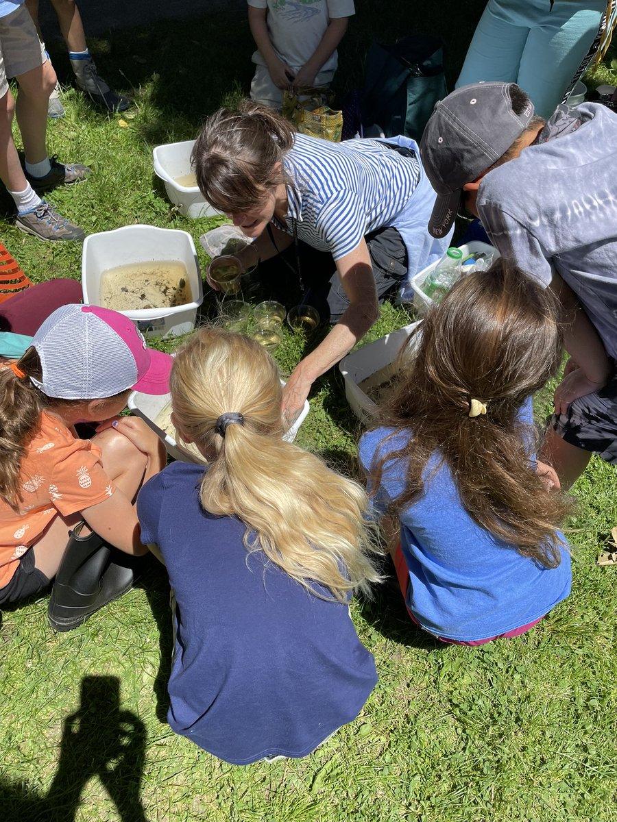 Big Backyard Program tweet media